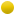 KN_m_yellow